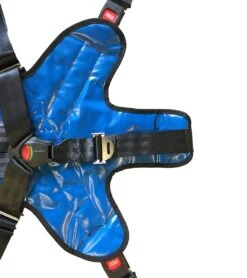 Deluxe Pediatric Child Restraint System -Spectrum Xcel Shop 5668273914024 royalblue 4a