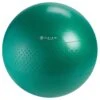 Gaiam Total Body Balance Ball Kits (55CM)