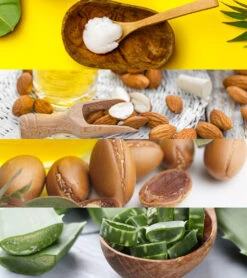 Pre-Swim Hair Defense 16.9 Oz. -Spectrum Xcel Shop 5678005846184 almondscented 5a